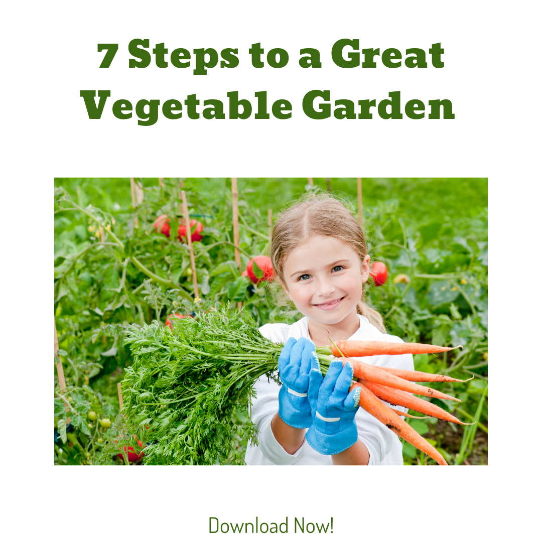 7 Steps to a Great Vege Garden