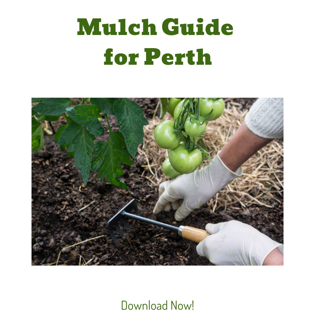 Mulch Guide for Perth