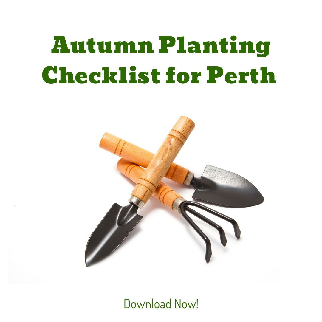Autumn Planting Checklist for Perth