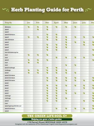 herb propagation chart